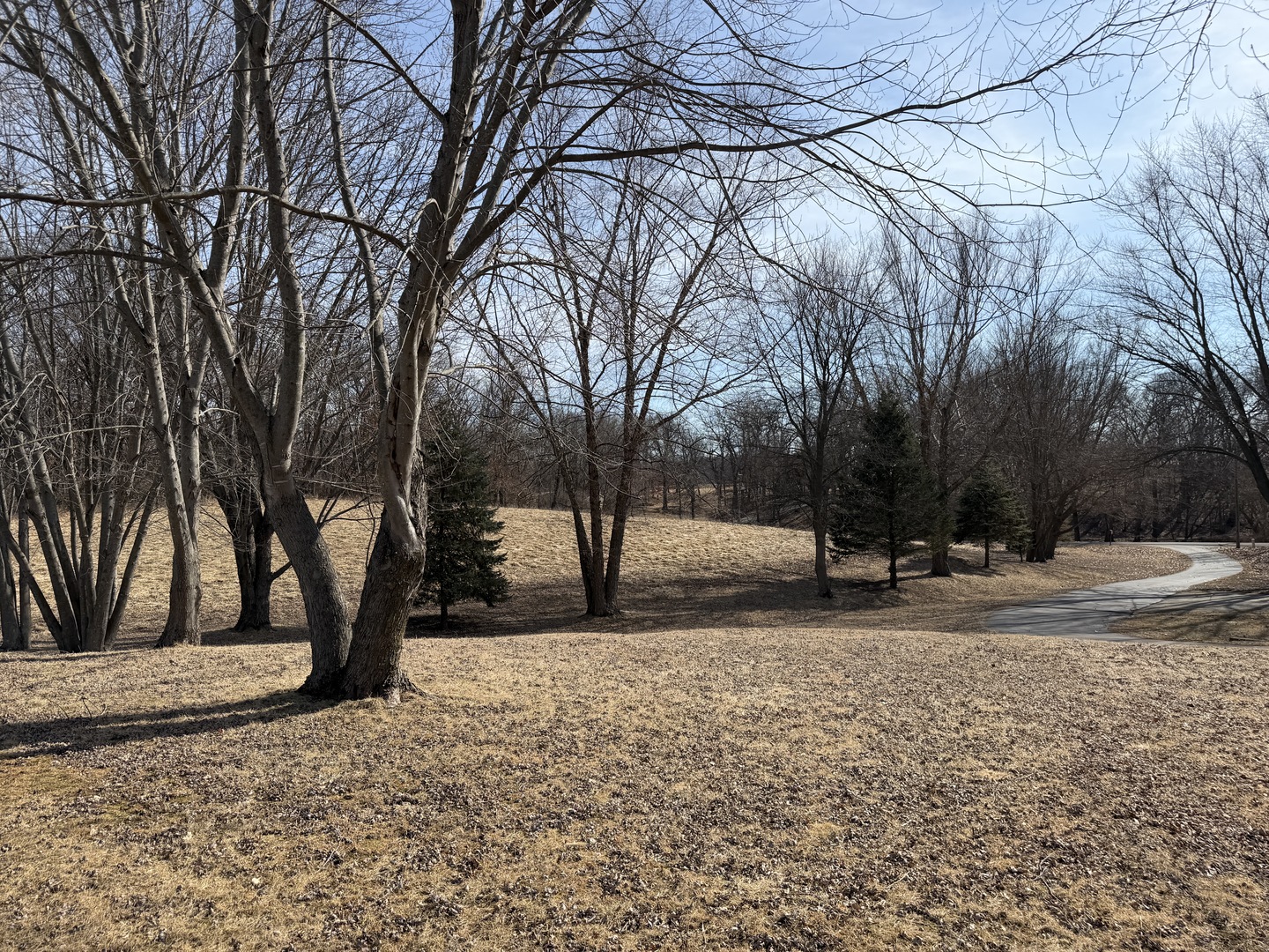 21186 Mathew Road Sterling, IL 61081 - Photo 56 of 66 a view of road and trees