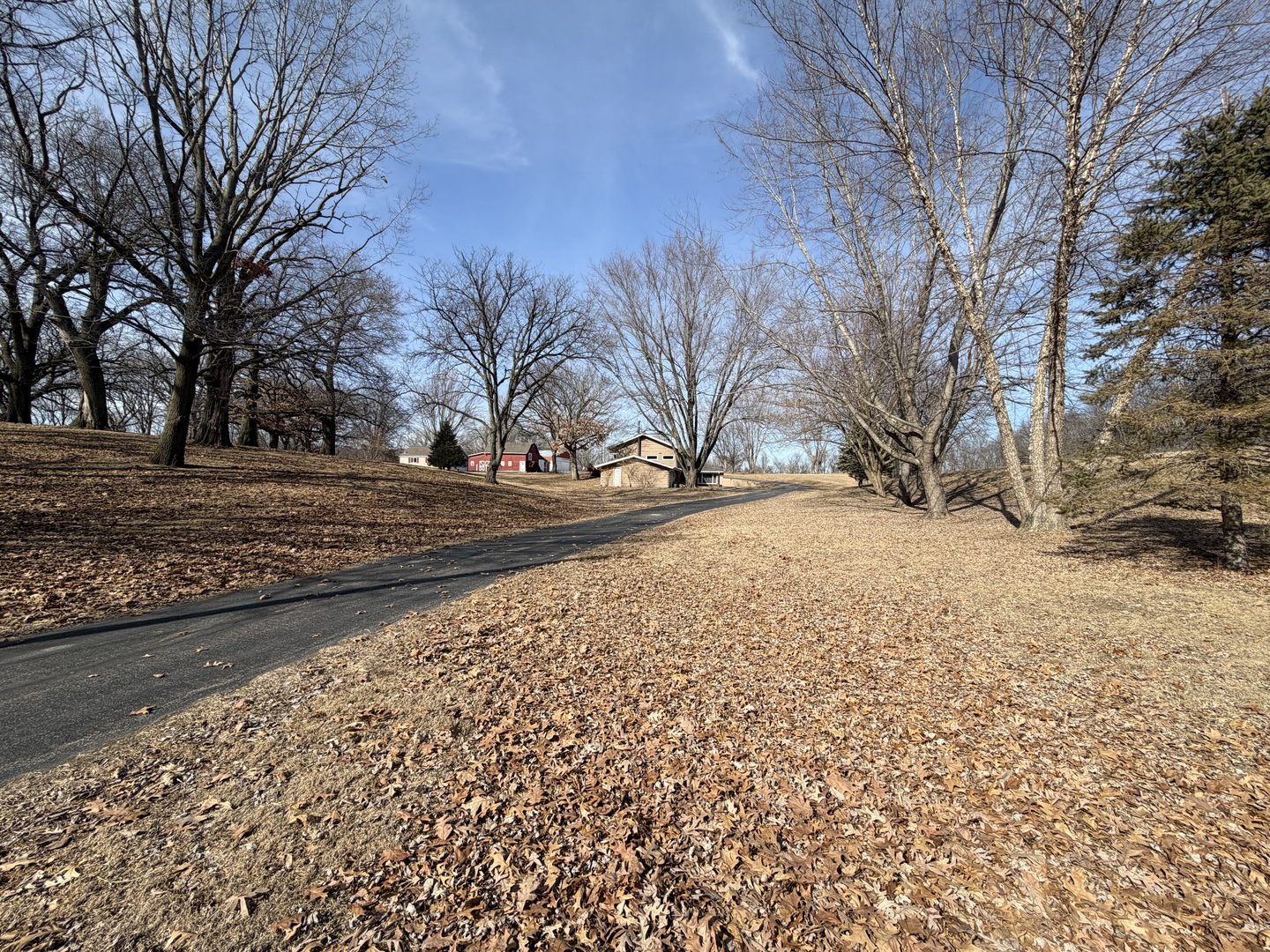 21186 Mathew Road Sterling, IL 61081 - Photo 58 of 66 a view of dirt yard with a large tree