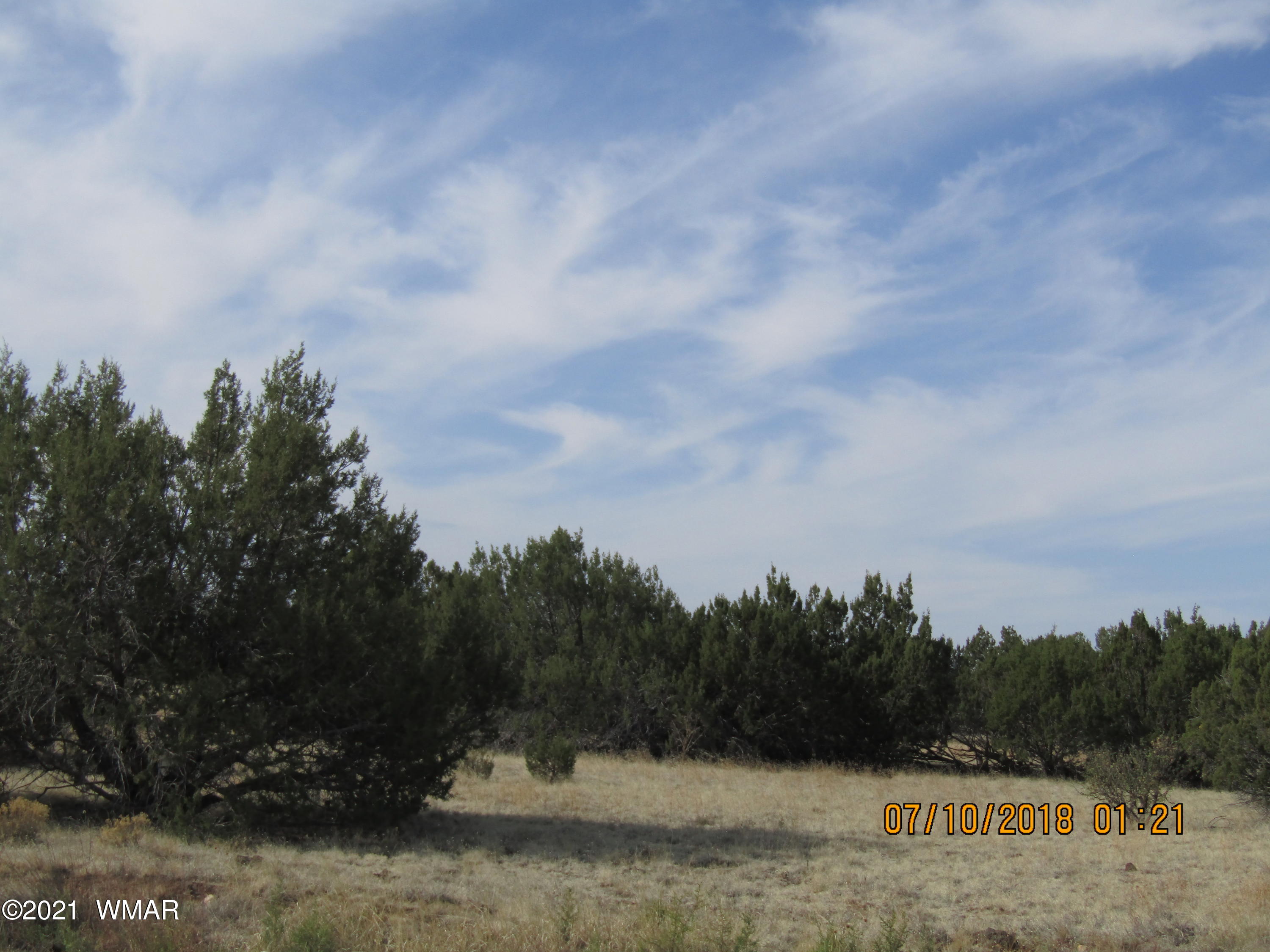 2606 Parson Lane Show Low, AZ 85901 - Photo 2 of 4