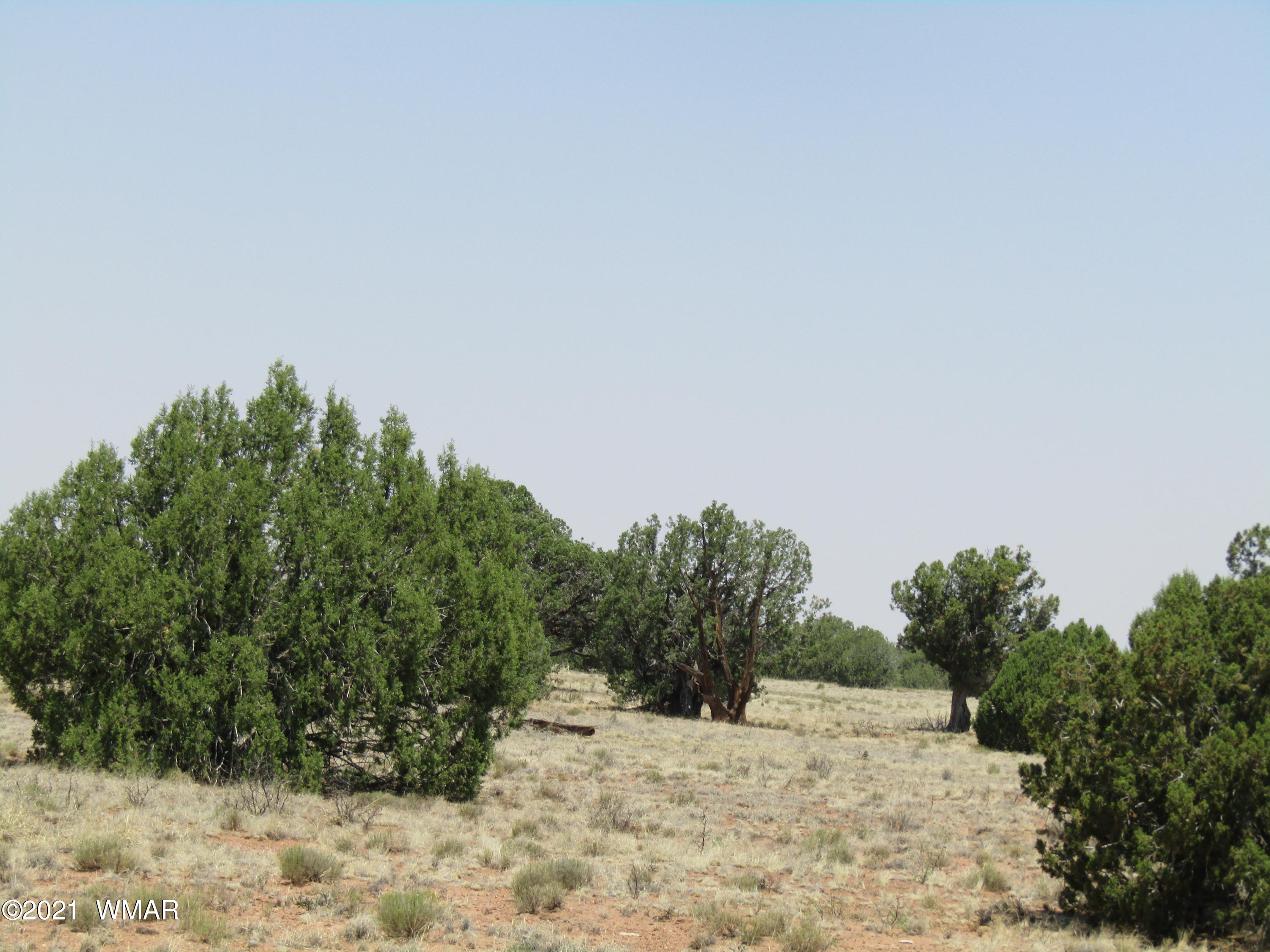 2606 Parson Lane Show Low, AZ 85901 - Photo 4 of 4