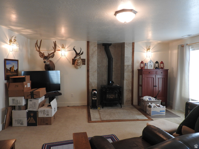 665 South 600 East Mount Pleasant, UT 84647 - Photo 19 of 31