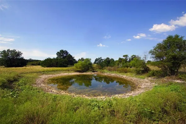 a view of a lake from a yard