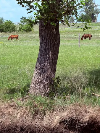 a backyard of a house with lots of green space