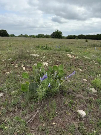 a view of lake with mountain