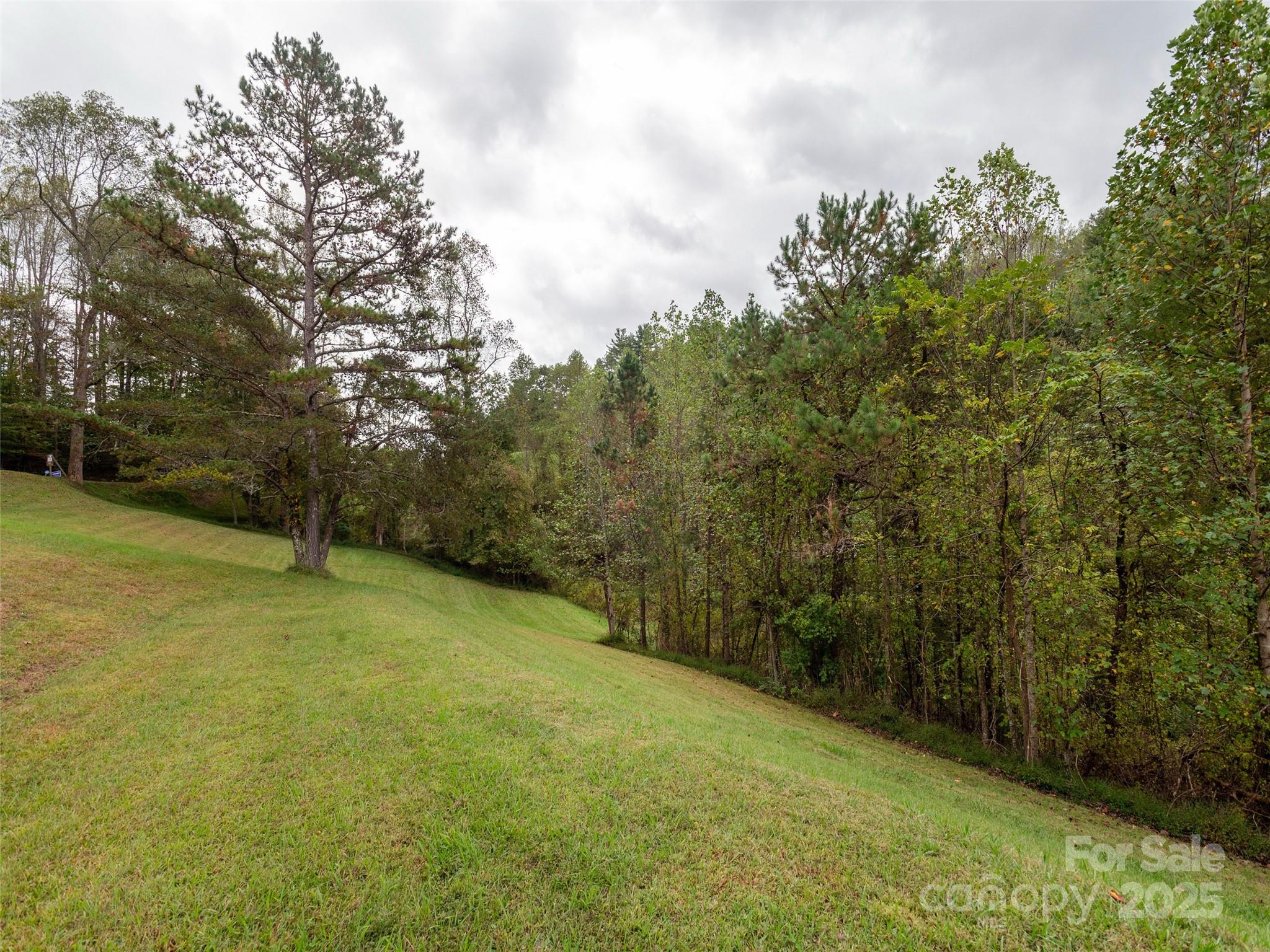 81 Mt Airy Road Marshall, NC 28753 - Photo 15 of 19 a view of a field with trees in the background