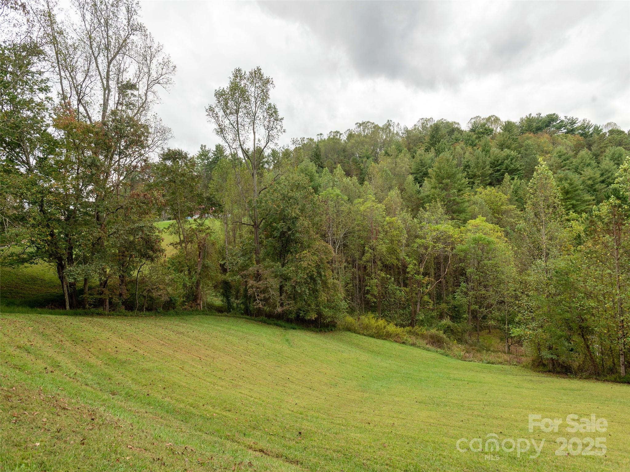 81 Mt Airy Road Marshall, NC 28753 - Photo 16 of 19 a view of a yard with a trees