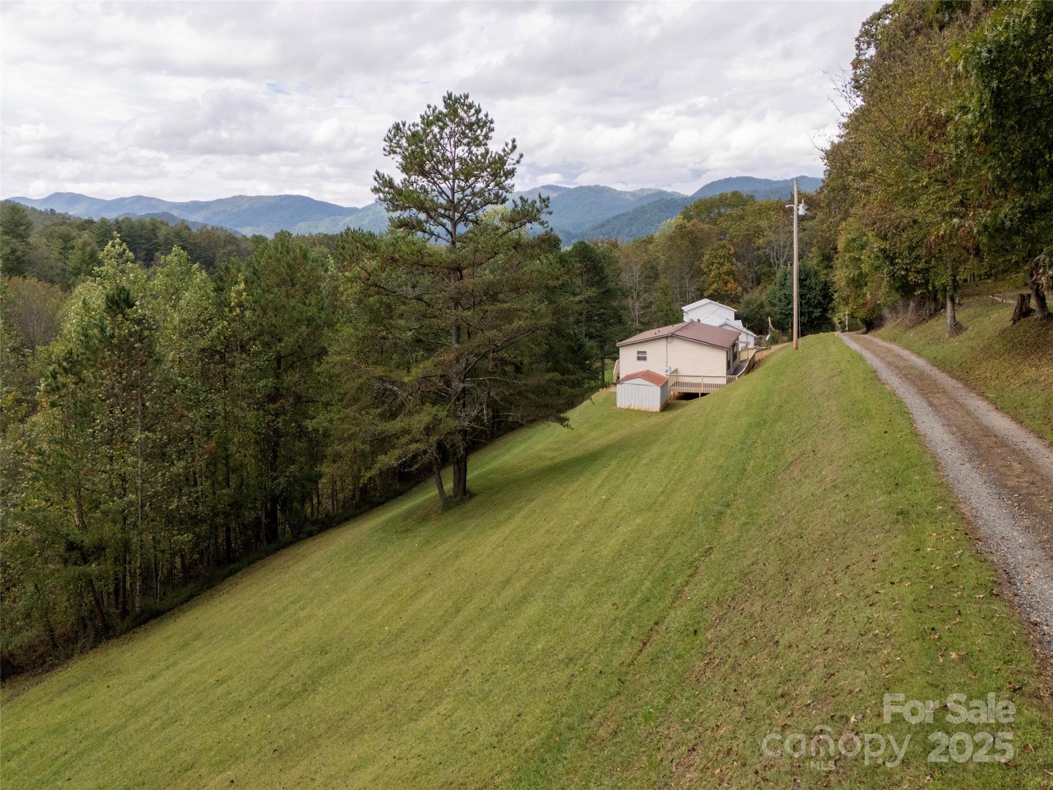 81 Mt Airy Road Marshall, NC 28753 - Photo 17 of 19 a view of a garden with a building in the background