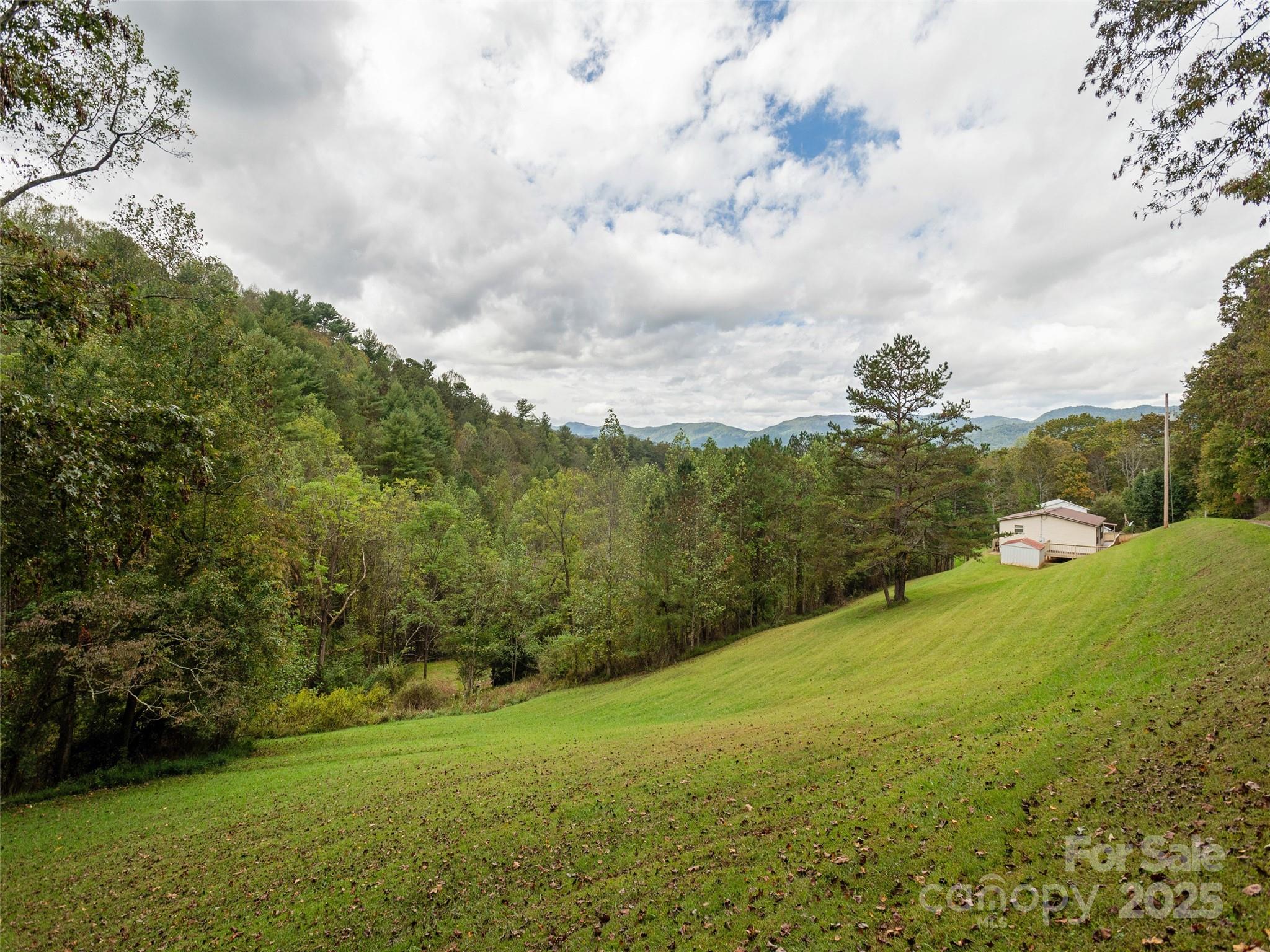 81 Mt Airy Road Marshall, NC 28753 - Photo 18 of 19 a view of a big yard with lots of green space