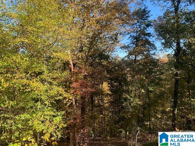 6927 Grey Hill Road West Blocton, AL 35184 - Photo 15 of 58
