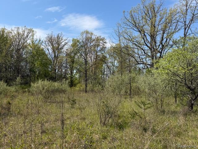 Parcel A & B Parcel A & B Kelch Road Mayville, MI 48744 - Photo 5 of 6