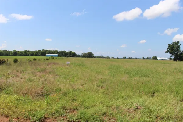 a view of an ocean and beach