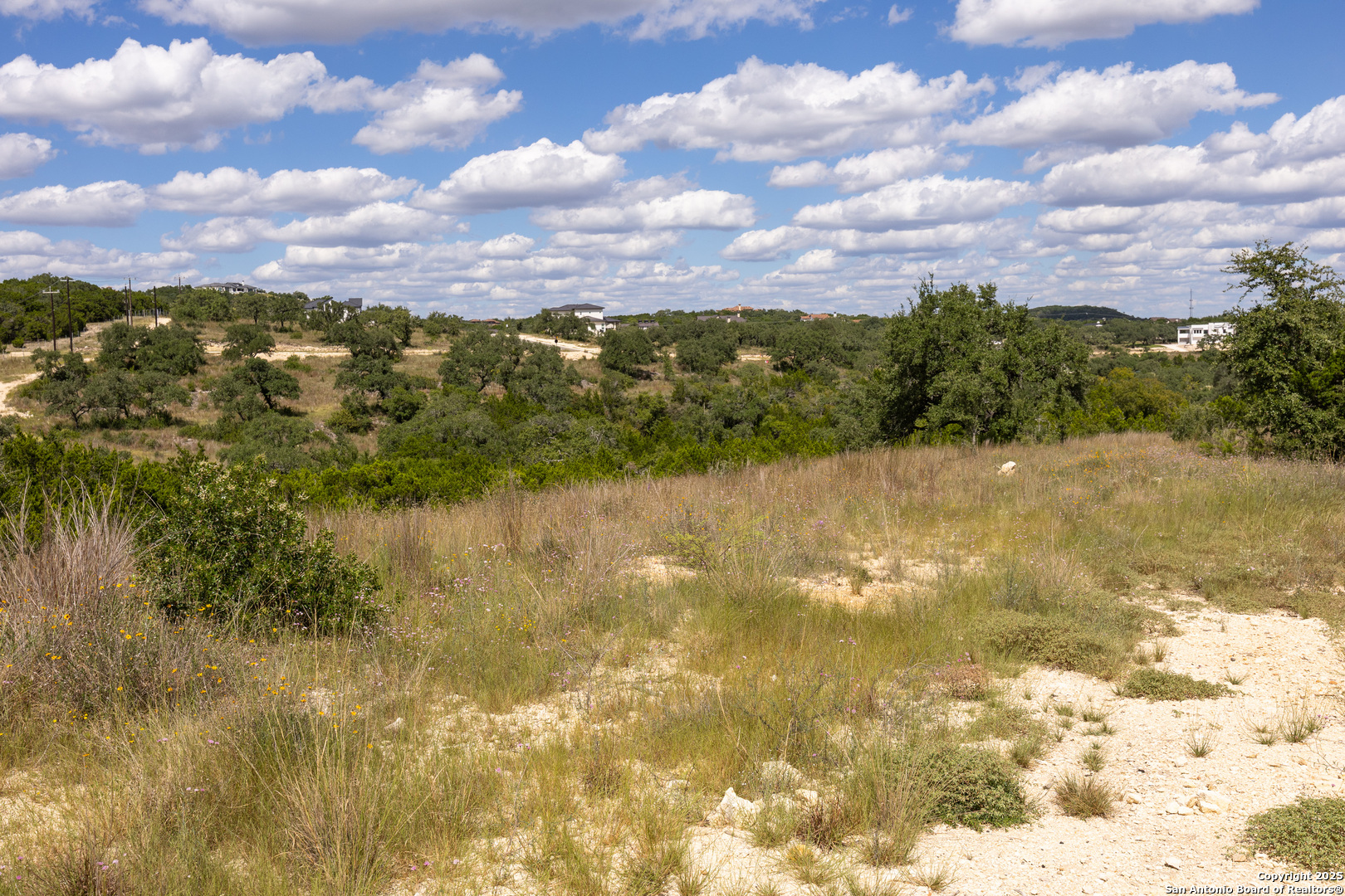 11313 Sloanes Ridge San Antonio, TX 78255 - Photo 12 of 15