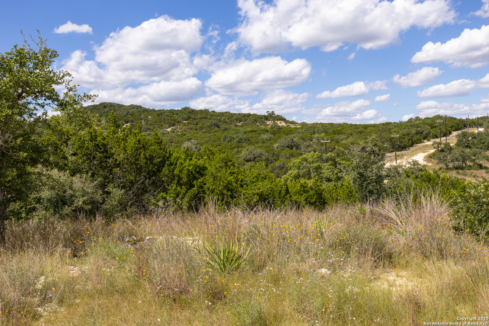 11313 Sloanes Ridge San Antonio, TX 78255 - Photo 13 of 15