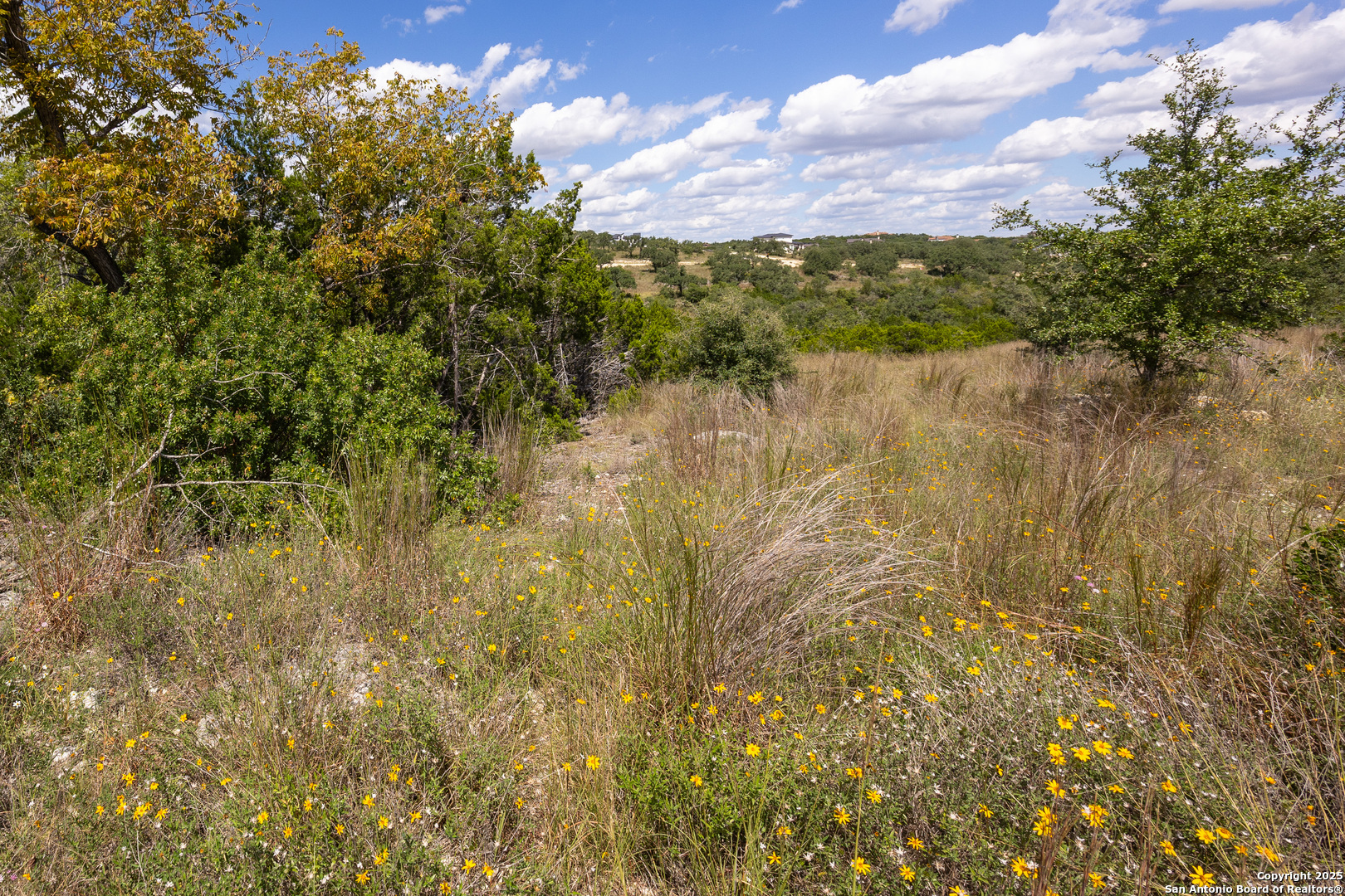 11313 Sloanes Ridge San Antonio, TX 78255 - Photo 6 of 15