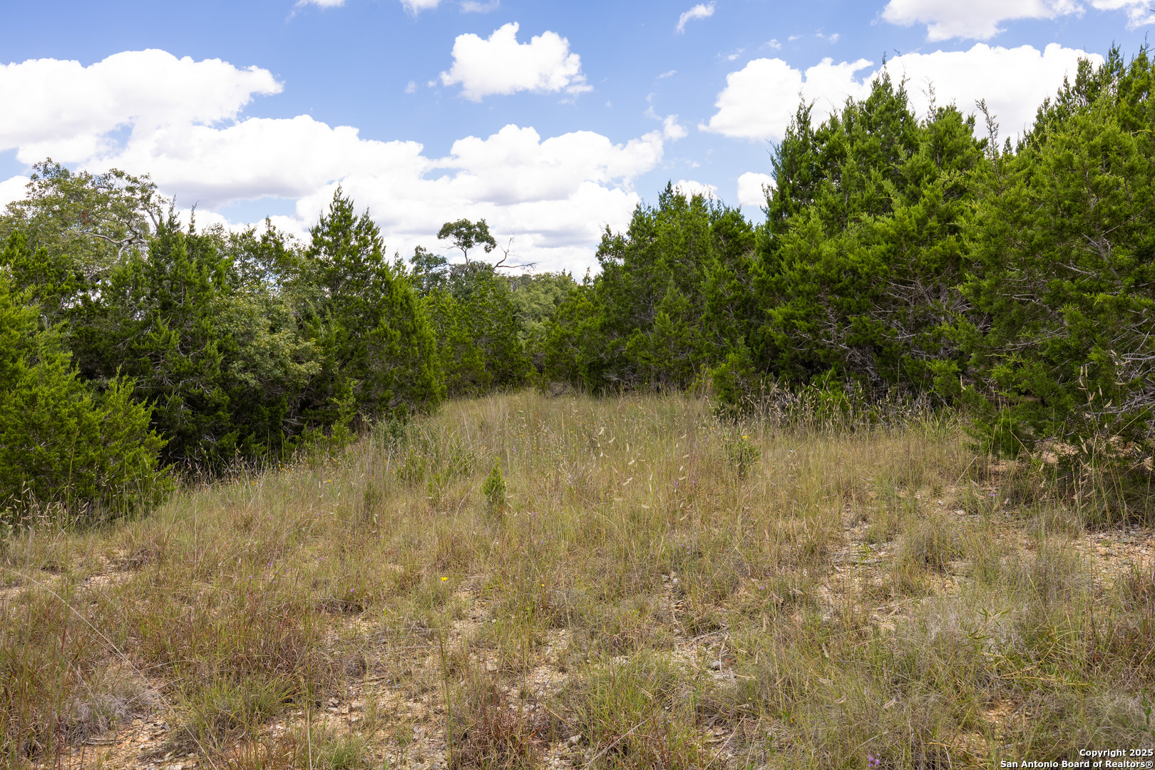 11313 Sloanes Ridge San Antonio, TX 78255 - Photo 9 of 15
