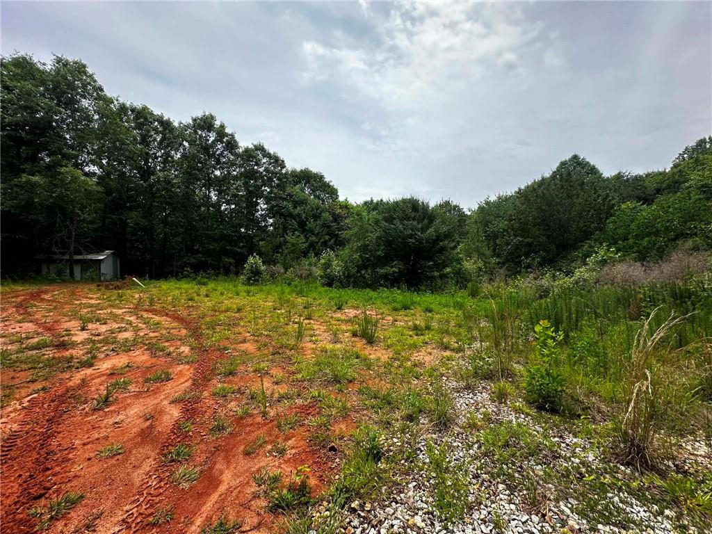 1957 Old Carnesville Road Commerce, GA 30530 - Photo 4 of 6 a view of a lake view