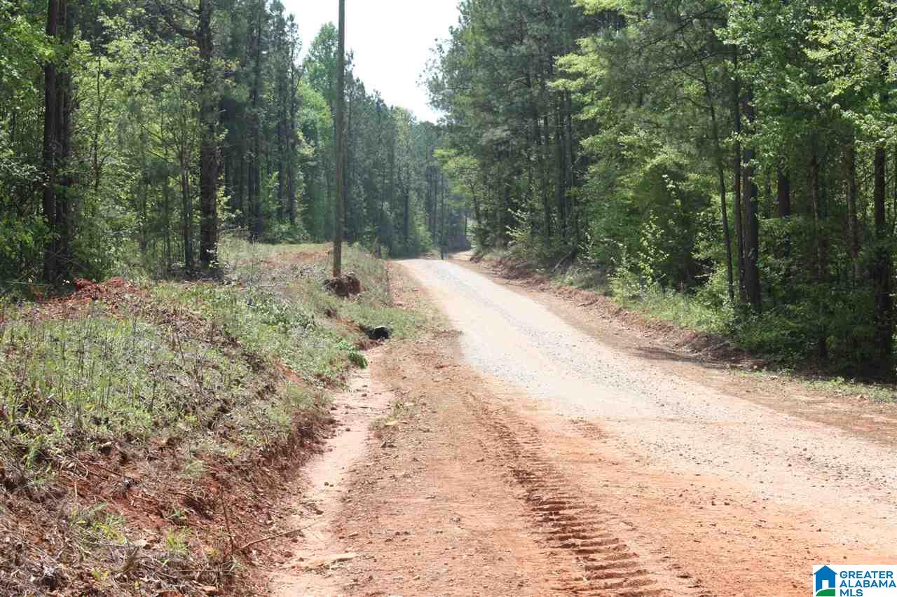 873 County Road, Unit 14 Wedowee, AL 36278 - Photo 2 of 9