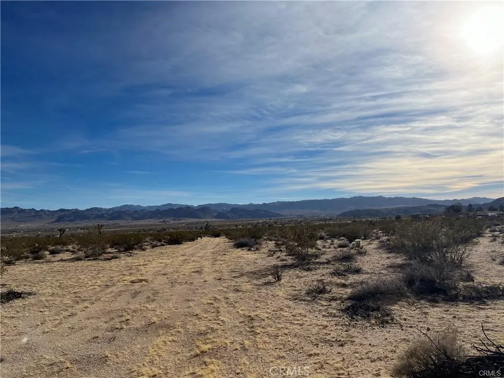 7 Bellflower Street Joshua Tree, CA 92252 - Photo 4 of 4