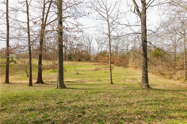833 Balthrop Road Chapmansboro, TN 37035 - Photo 4 of 20 Plenty of yard to enjoy