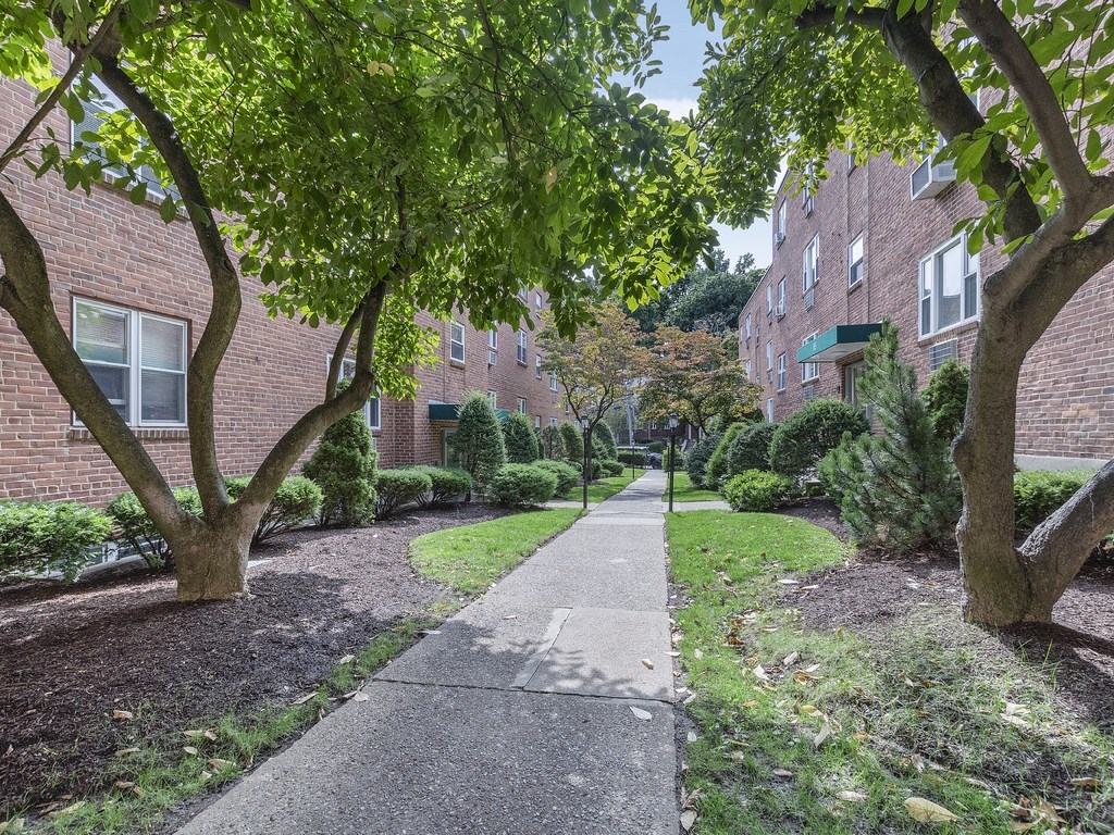 61 Colborne Road, Unit 5 Boston, MA 02135 - Photo 19 of 23 Gallery Image 19