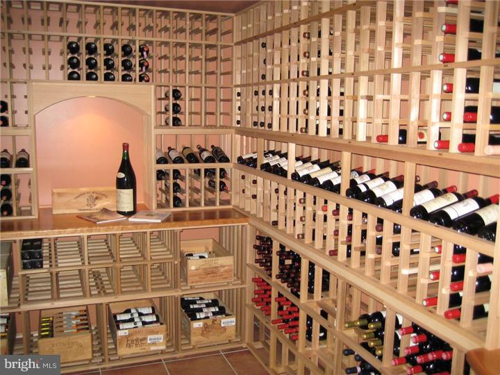 5100 Valley Park Road Doylestown, PA 18902 - Photo 18 of 22 Wine Cellar