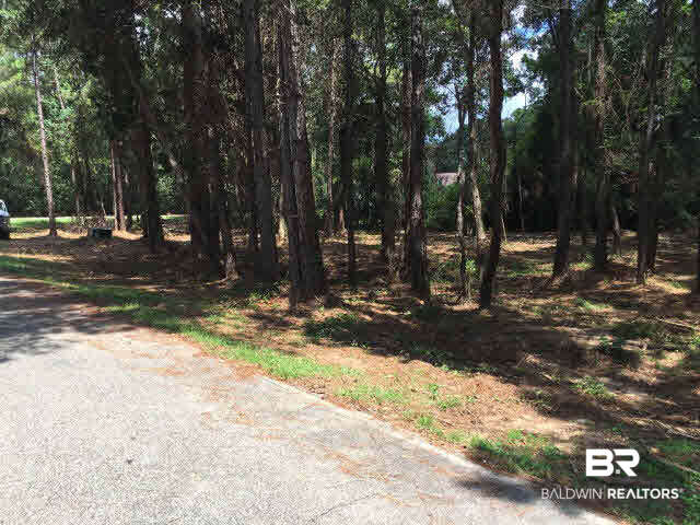 0 Clay City Road Fairhope, AL 36532 - Photo 7 of 15