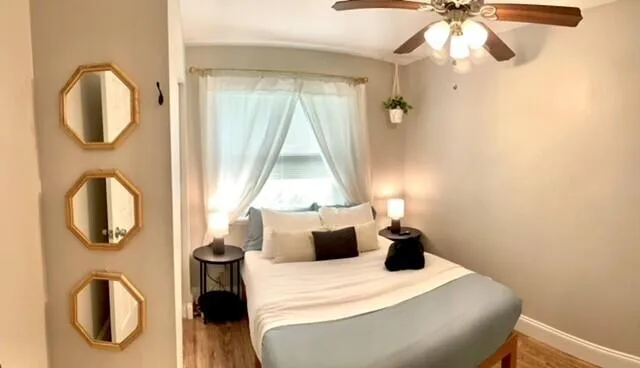 a living room with furniture and a potted plant