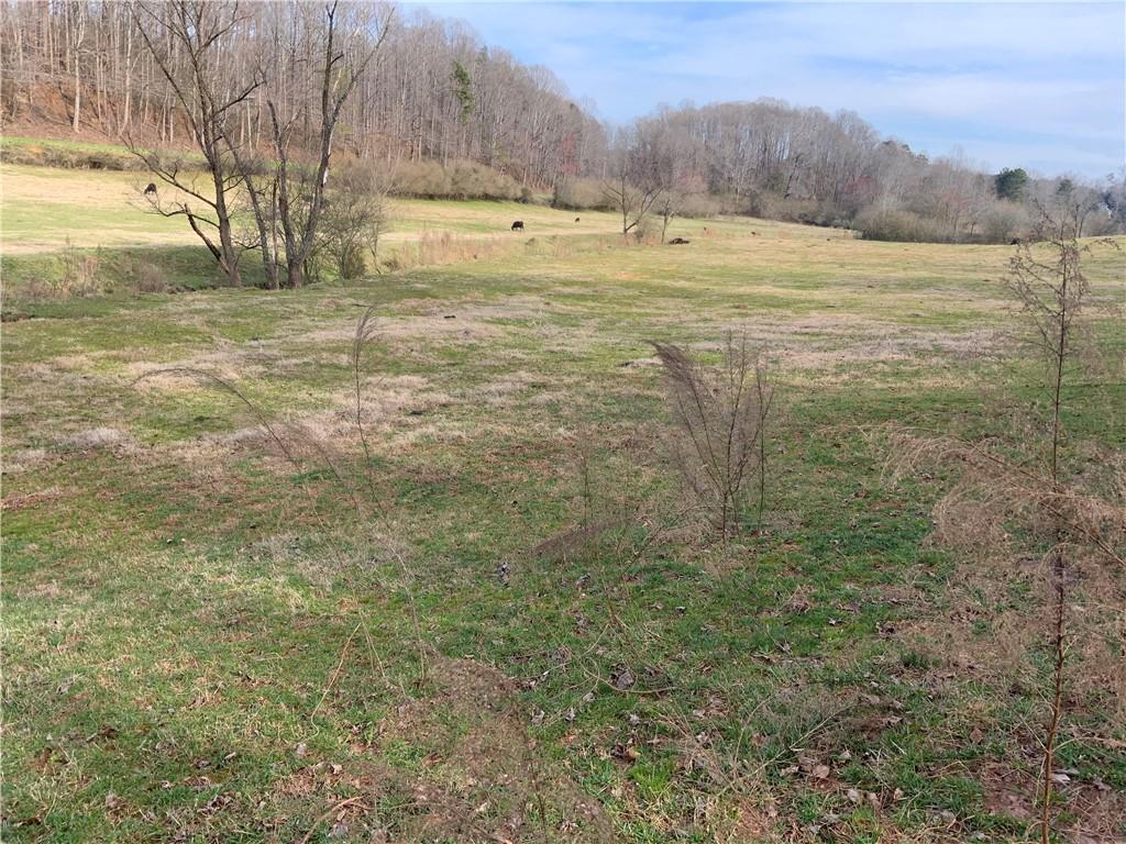 13-ac Arthur Anderson Road Dahlonega, GA 30533 - Photo 11 of 14 Gallery Image 11