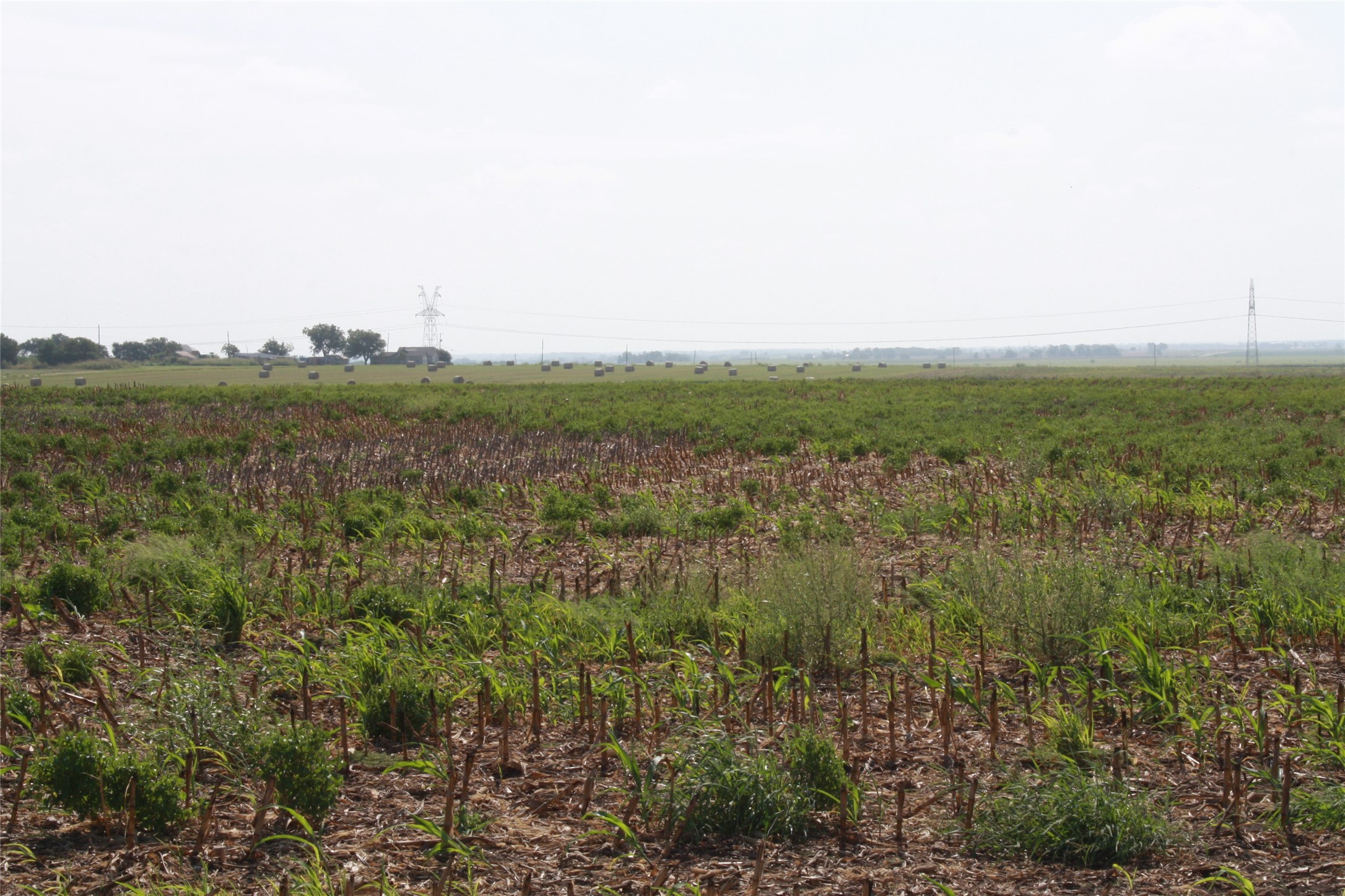 Tbd Gooseneck Road, Unit 1 Bartlett, TX 76511 - Photo 10 of 14