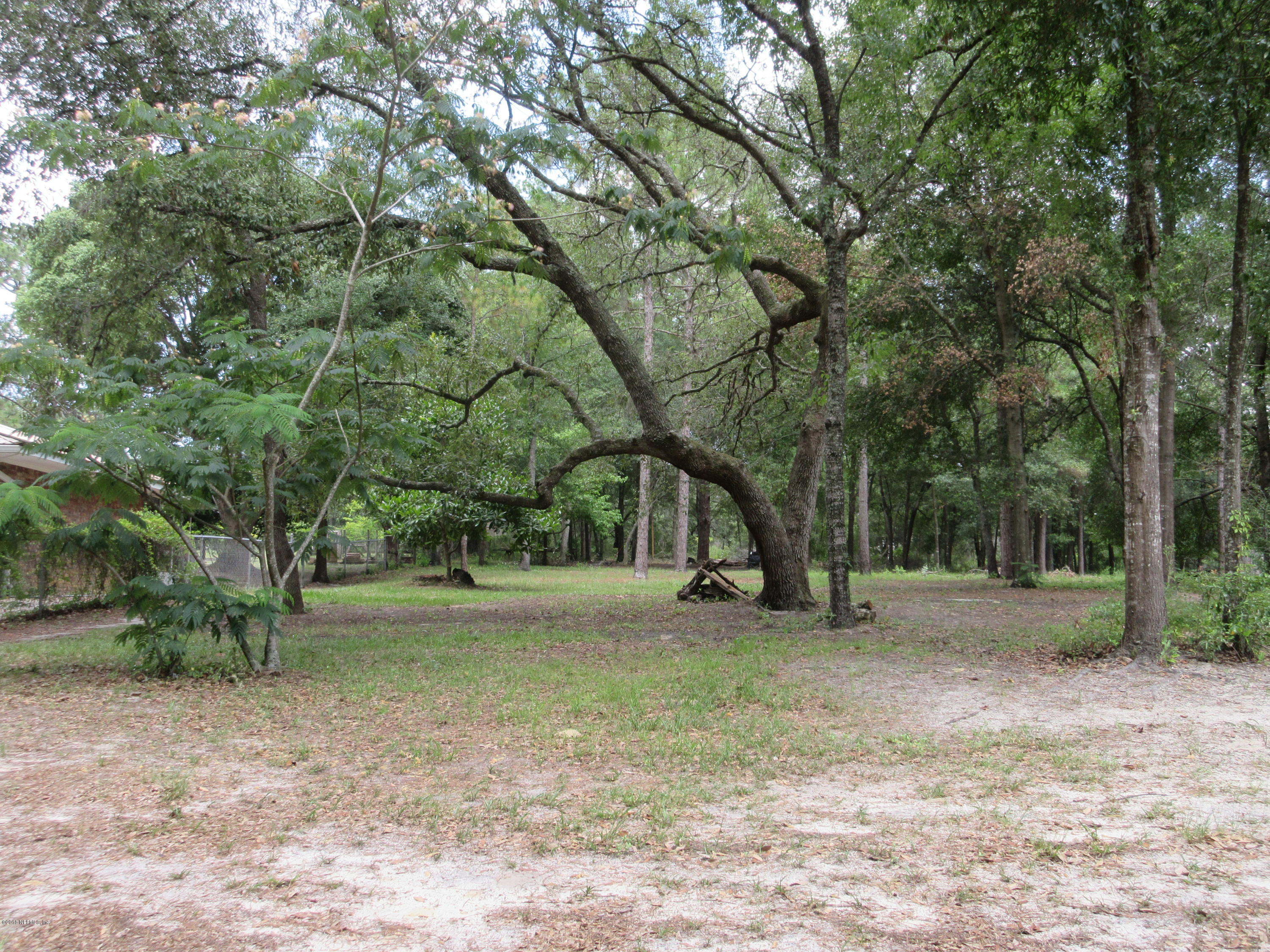 6581 Brooklyn Bay Road Keystone Heights, FL 32656 - Photo 3 of 3 a backyard of a house with lots of green space