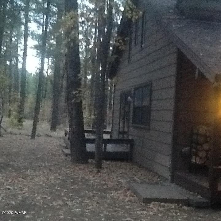 129 Alpine Lane Pinetop, AZ 85935 - Photo 9 of 29
