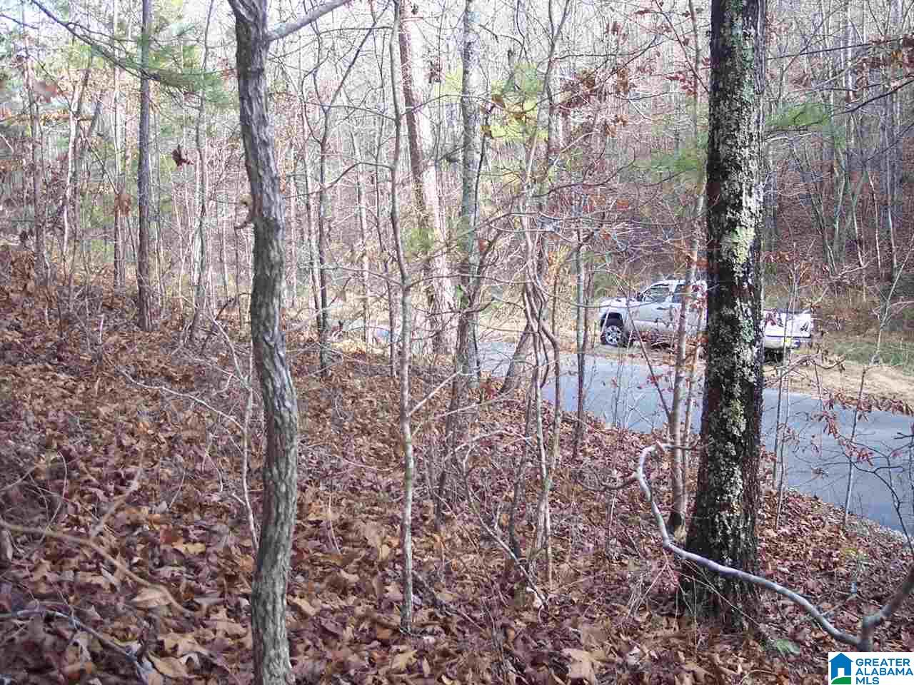 4 Dripping Rock Road, Unit 4 Piedmont, AL 36272 - Photo 10 of 12
