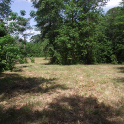 Xxx Xxx Gladhurst Road Magnolia, MS 39652 - Photo 1 of 1 Main View