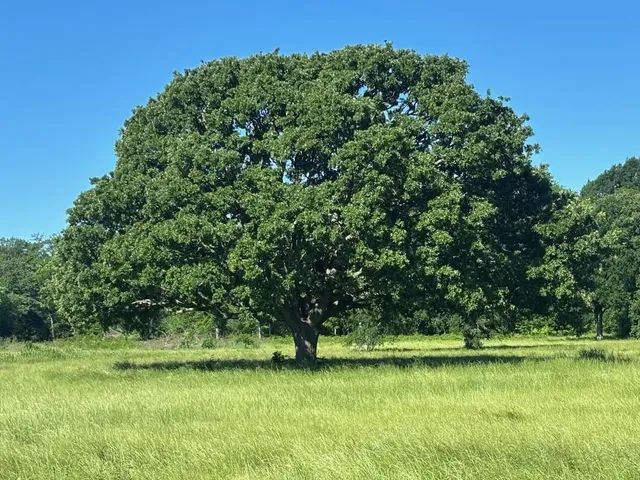 a view of a ocean view