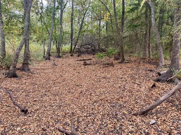 a view of outdoor space with trees