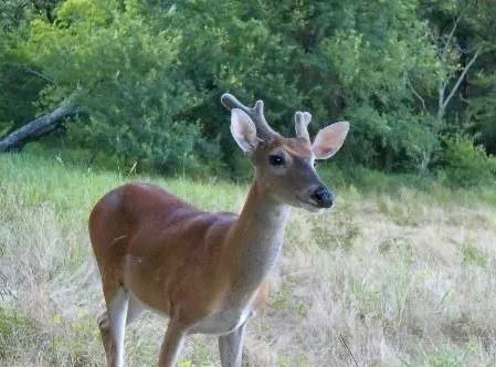 a view of a workspace