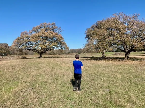 $172,000 | 4410 County Road 4410, Commerce, TX 75428