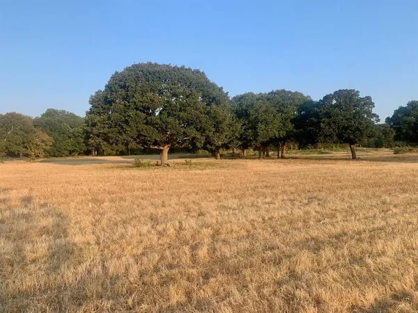 a view of basketball court