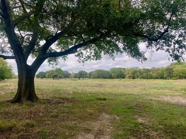a view of a lake with a mountain