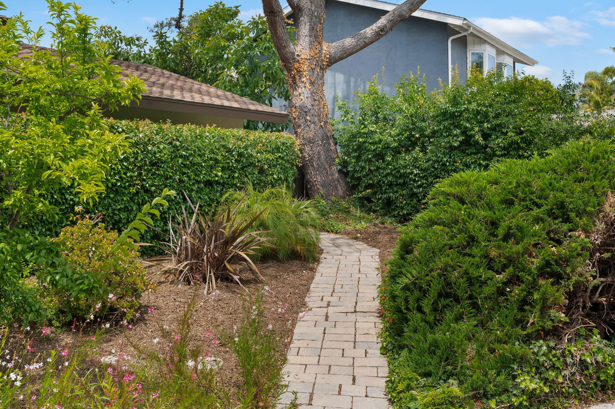 875 Norma Way Santa Barbara, CA 93111 - Photo 3 of 33 Walkway to Guest Quarters