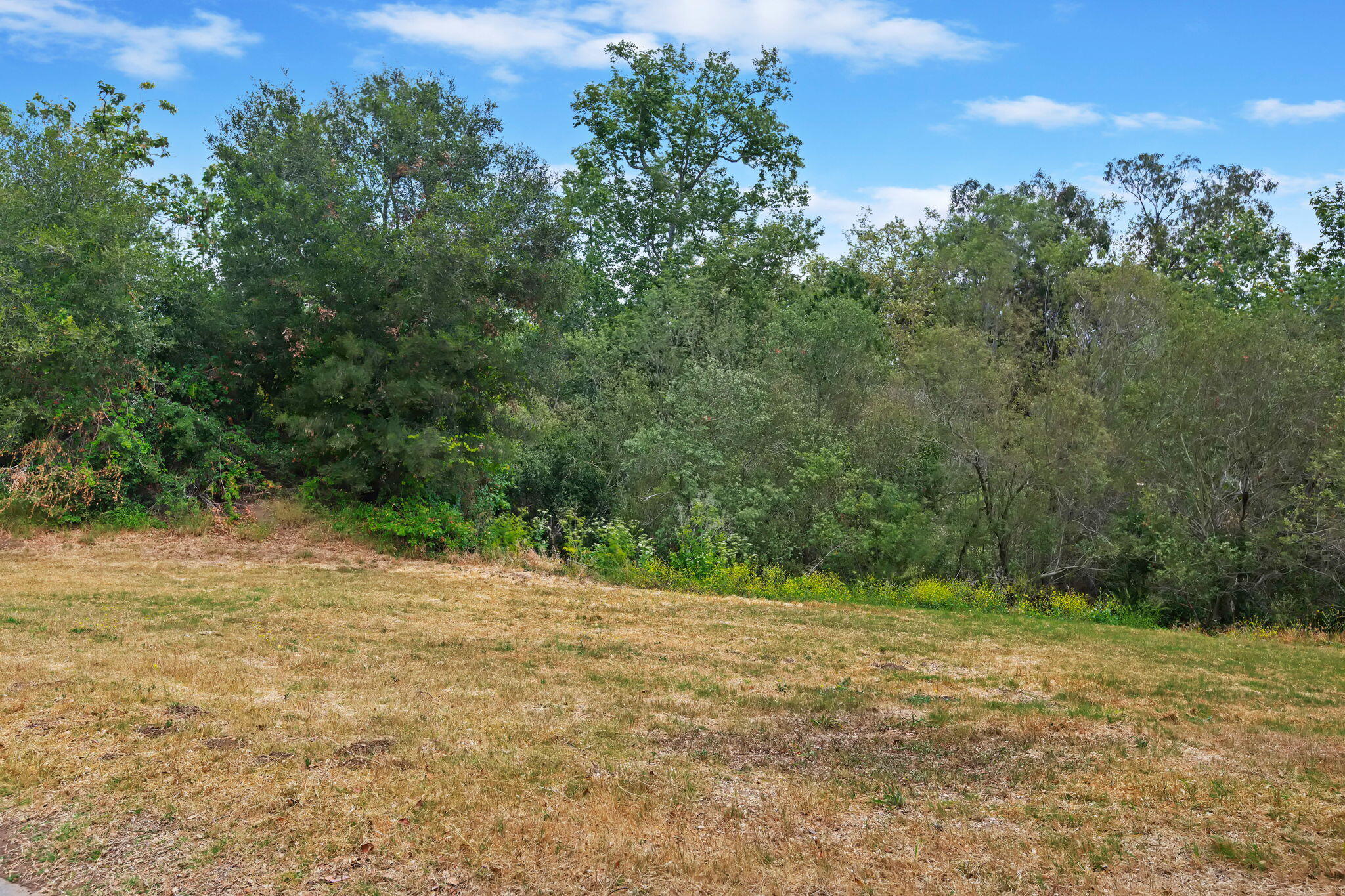 875 Norma Way Santa Barbara, CA 93111 - Photo 32 of 33 View of Front Park