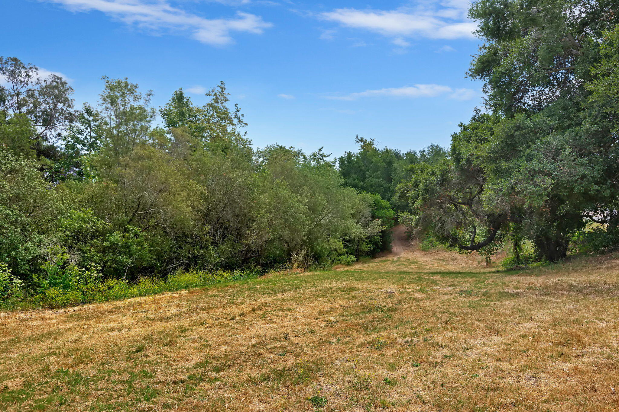 875 Norma Way Santa Barbara, CA 93111 - Photo 33 of 33 View of Open Area