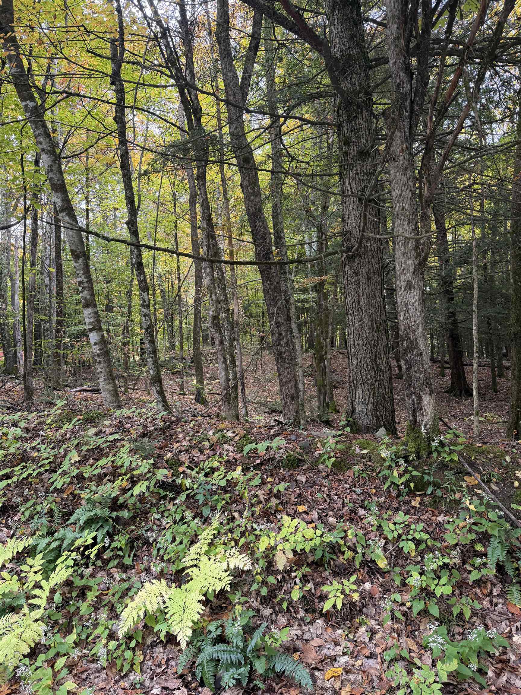 0 Baker Turn, Unit 62079 Quechee, VT 05059 - Photo 1 of 2 Gallery Image 1