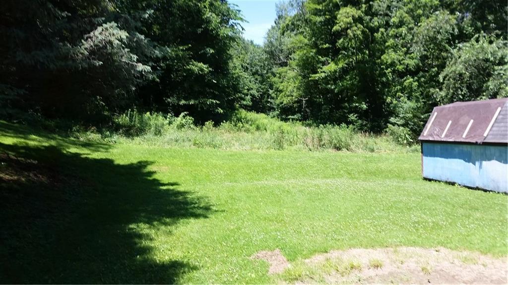 358 Lisbon Road Beaver Falls, PA 15010 - Photo 4 of 12 View into back pasture.
