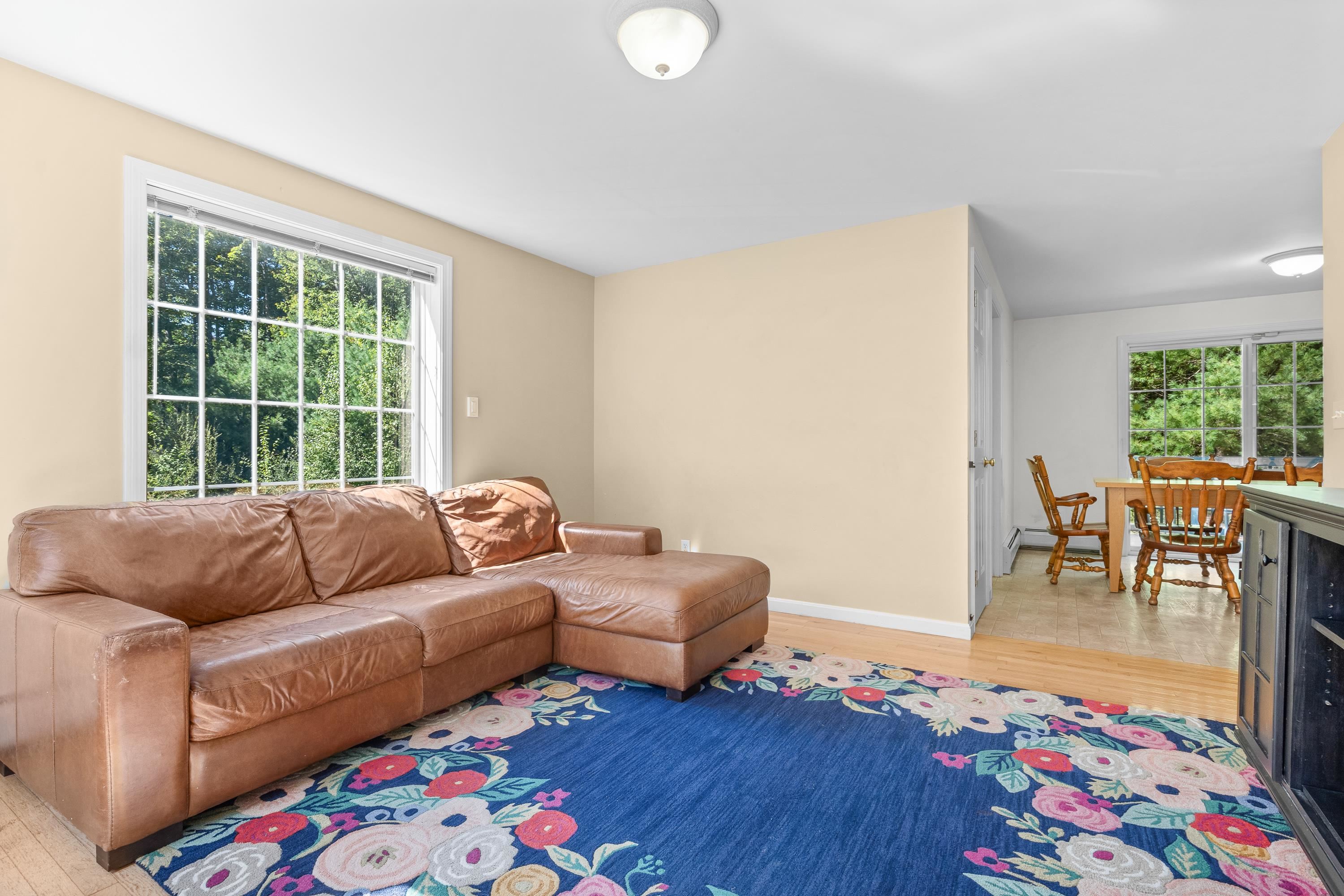 53 Tan Road Pittsfield, NH 03263 - Photo 5 of 39 Gallery Image 5
