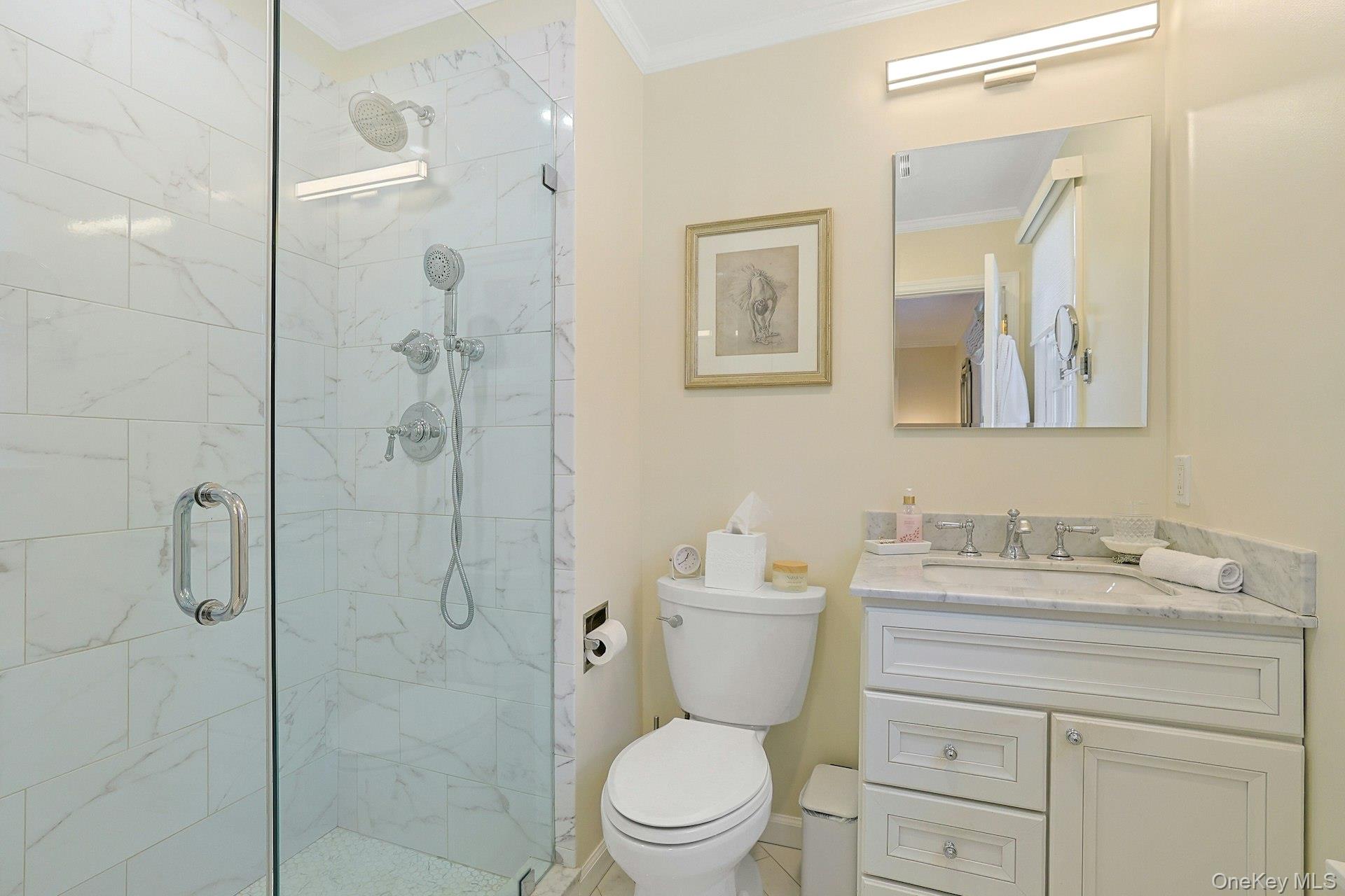 103 River Road Briarcliff Manor, NY 10510 - Photo 19 of 37 a bathroom with a toilet sink vanity shower and mirror