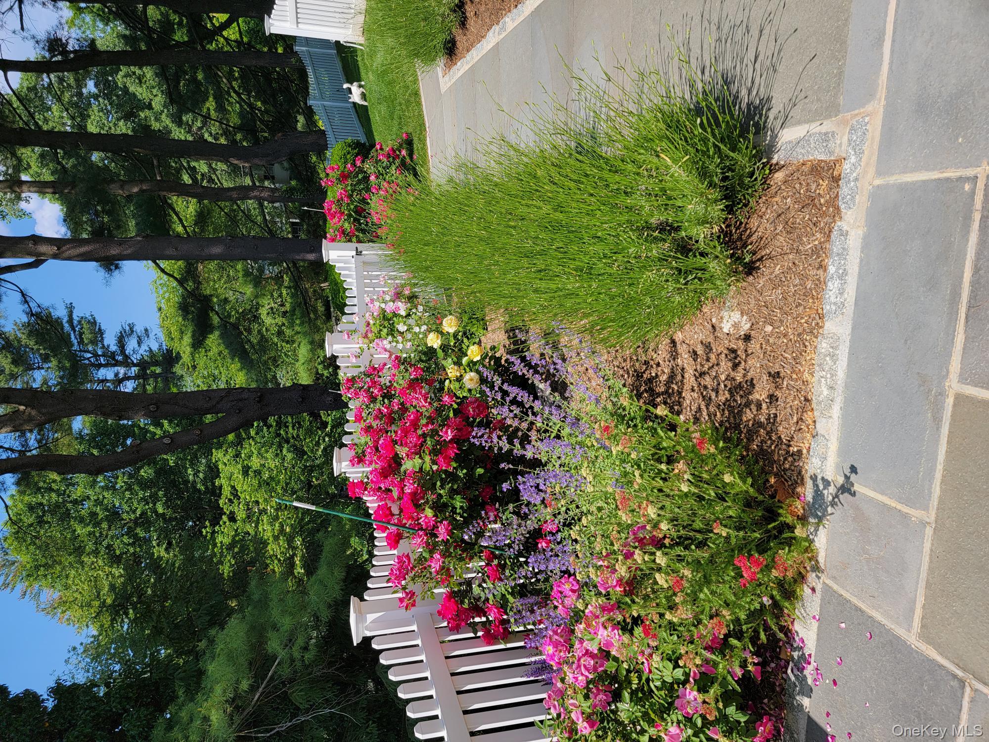 103 River Road Briarcliff Manor, NY 10510 - Photo 27 of 37 a bunch of flowers are in a yard