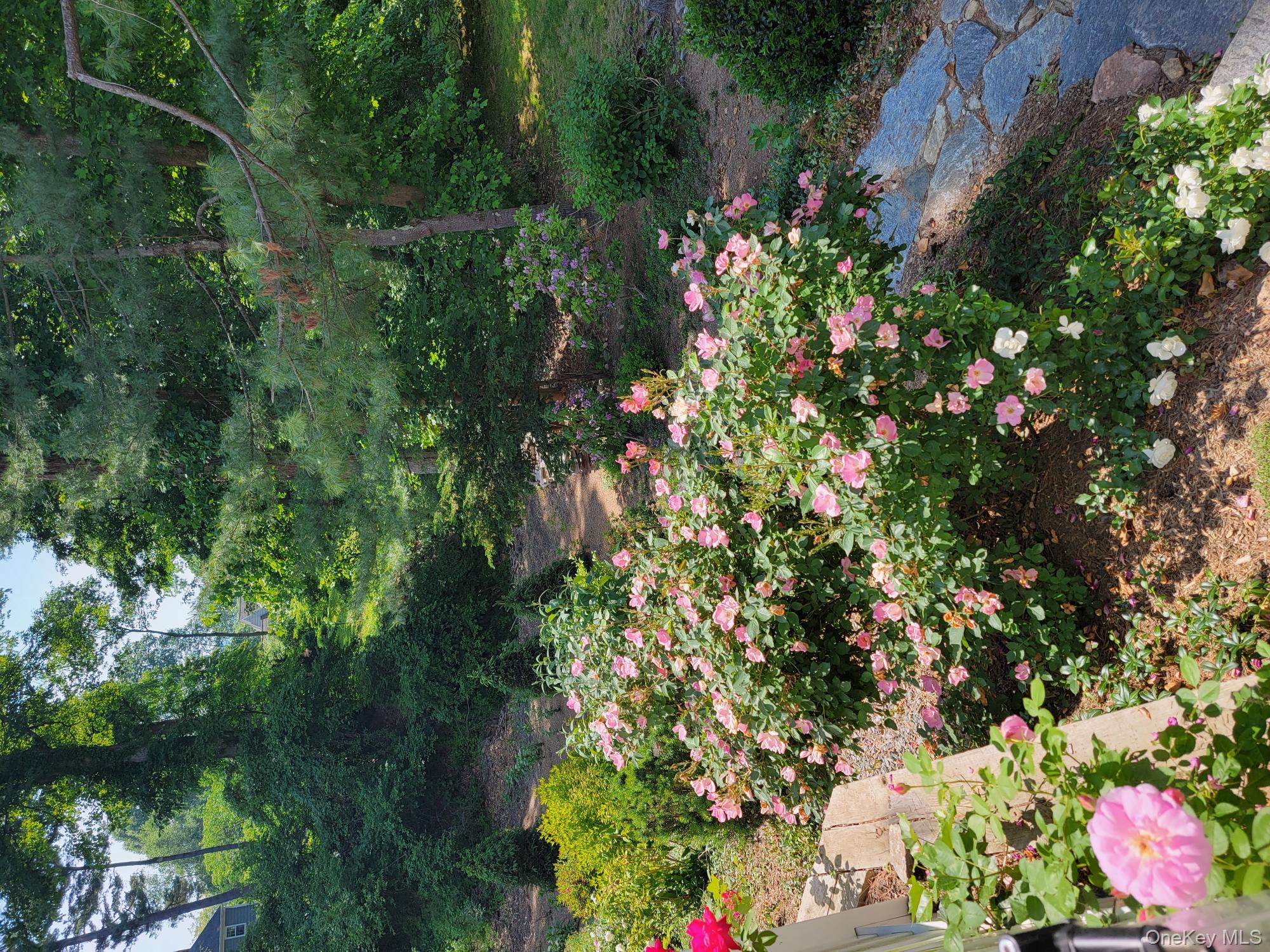 103 River Road Briarcliff Manor, NY 10510 - Photo 30 of 37 a picture of flowers