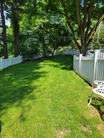 a view of a garden with a tree