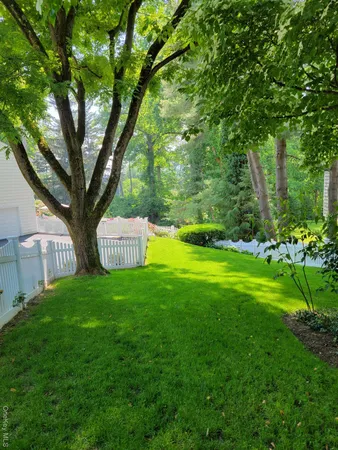 a view of garden with trees